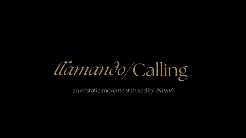 Knoxville Movement Collective